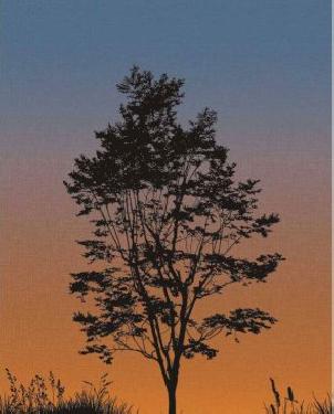 Обои Wallquest Trees Trees TR71905M изображение 0