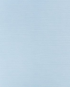 Обои Thibaut Texture Resource 9 Texture Resource 9 TWW34036 изображение 0