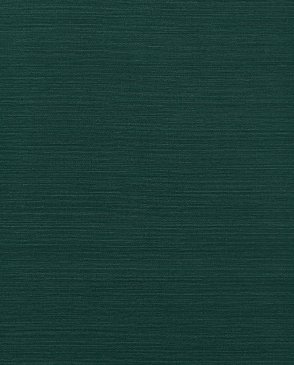 Обои Thibaut Texture Resource 9 Texture Resource 9 TWW34045 изображение 0