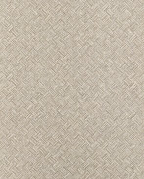 Обои Thibaut Texture Resource 9 Texture Resource 9 TWW34059 изображение 0