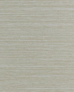 Обои Thibaut Texture Resource 9 Texture Resource 9 TWW34068 изображение 0