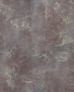 Фрески коричневые Tsvetarium uranographia-color-1 изображение 0