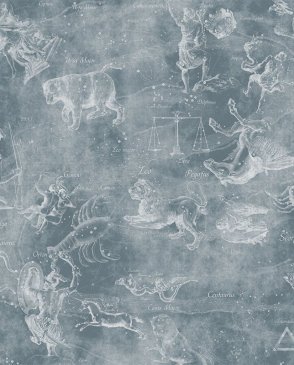 Фрески с сюжетным рисунком для спальни Tsvetarium uranographia-color-2 изображение 0