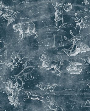 Фрески с сюжетным рисунком Tsvetarium uranographia-color-3 изображение 0