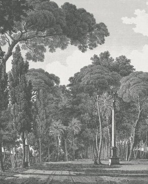 Испанские Обои Panorama 2 V162-1 изображение 0