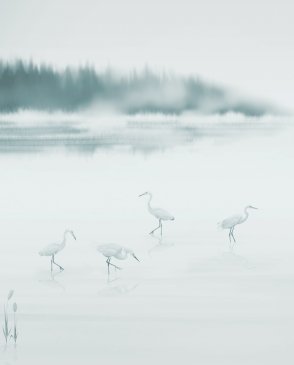 Испанские Обои Panorama 2 V169-1 изображение 0