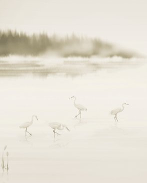 Обои Ich Panorama 2 Panorama 2 V169-2 изображение 0