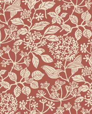 Обои – новинки Jardin VP1342 изображение 0