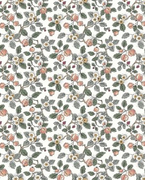 Обои – новинки Jardin VP1414 изображение 0