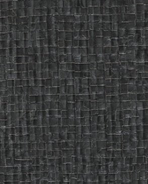 Французские Обои черные в современном стиле Parade VP640-09 изображение 0