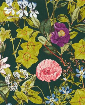 Обои Clarke & Clarke Exotica 2 Exotica 2 W0143-02 изображение 0