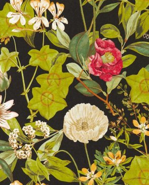 Обои Clarke & Clarke Exotica 2 Exotica 2 W0143-04 изображение 0