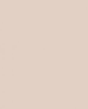 Обои в стиле минимализма Step-Up W188002 изображение 0