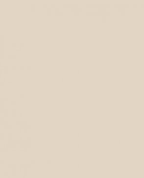 Обои в стиле минимализма Step-Up W188012 изображение 0