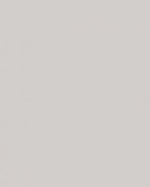 Обои в стиле минимализма Step-Up W188013 изображение 0