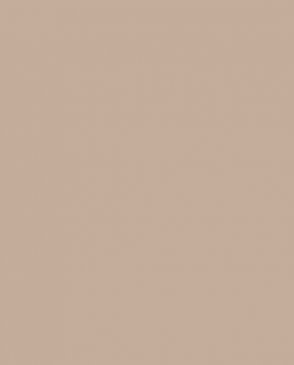 Обои A.S. Creation, Wall Up однотонные мятные, сиреневые, серые, голубые, бежевые, коричневые Step-Up W188027 изображение 0