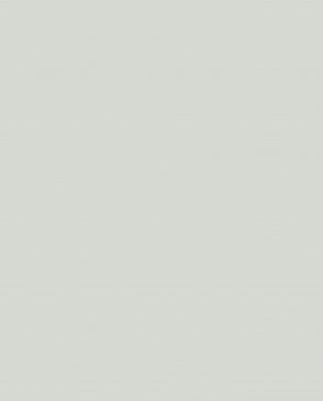 Обои – новинки Bright Whisper W189015 изображение 0