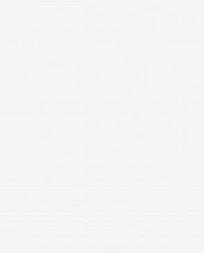 Обои – новинки Bright Whisper W189026 изображение 0