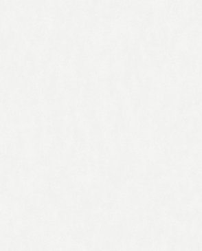 Обои – новинки Bright Whisper W190001 изображение 0