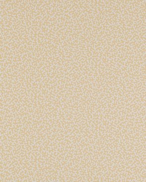 Обои Colefax and Fowler Small Design Wallpapers II W7014-02