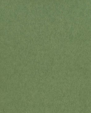 Обои Osborne & Little Folium зеленые Folium W7360-01 изображение 0