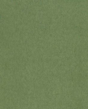 Обои Osborne & Little зеленые Mansfield Park W7360-01 изображение 0