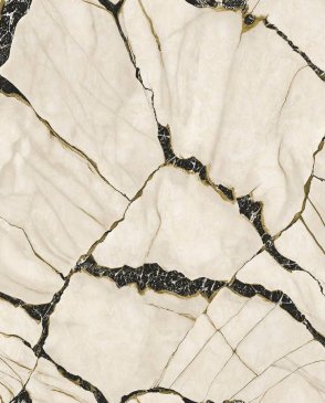 Обои Zambaiti Parati Philipp Plein 2 Philipp Plein 2 Z81038 изображение 0