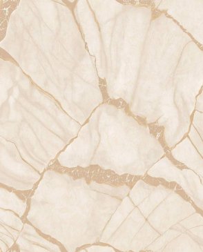 Обои Zambaiti Parati Philipp Plein 2 Philipp Plein 2 Z81040 изображение 0