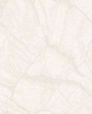 Обои Zambaiti Parati Philipp Plein 2 Philipp Plein 2 Z81042 изображение 0