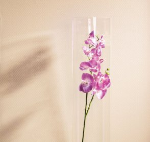 Обои Milassa Neo Classic Neo Classic Neo5-012 изображение 3