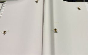 Обои Andrea Rossi Cavolli 54419-6 изображение 4