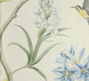 Обои Sanderson Curios 213389 изображение 4