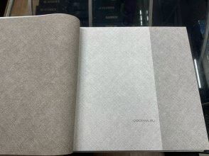 Обои Concept CO1101 изображение 2