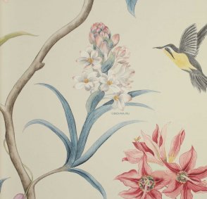 Обои Sanderson Curios 213387 изображение 5