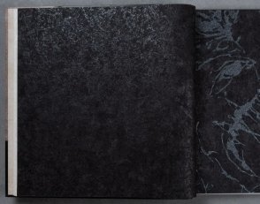 Обои в стиле лофт, Шале Sylvana 79126-1 изображение 1