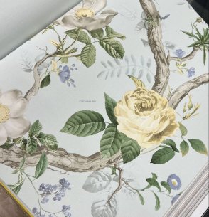 Обои Andrea Rossi Cavolli 54421-5 изображение 1