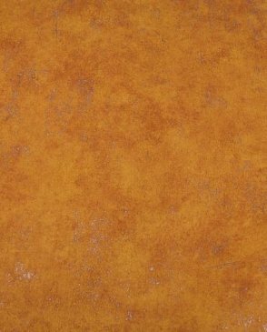 Обои однотонные оранжевые Beton 101493000 изображение 1