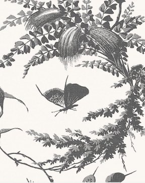 Обои черно-белые Bristol AT57838 изображение 3