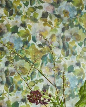Английские Обои с акварельными цветами The Edit...Flowers PDG1062-02 изображение 2