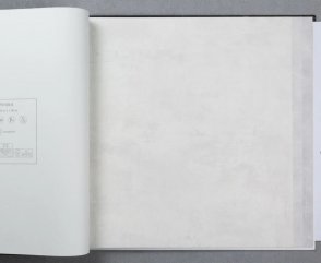 Обои в стиле лофт, Шале Sylvana 79139-2 изображение 1