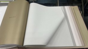 Обои с виниловым покрытием Bruni RBN1004-3 изображение 1