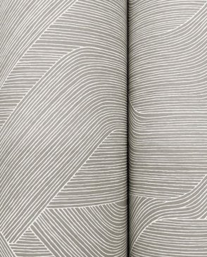 Обои York Candice Olson Natural Discovery Candice Olson Natural Discovery NT6191 изображение 3