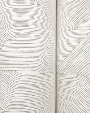 Обои York Candice Olson Natural Discovery Candice Olson Natural Discovery NT6193 изображение 3