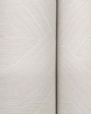 Обои York Candice Olson Natural Discovery Candice Olson Natural Discovery NT6195 изображение 3