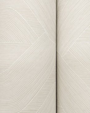 Обои York Candice Olson Natural Discovery Candice Olson Natural Discovery NT6196 изображение 2