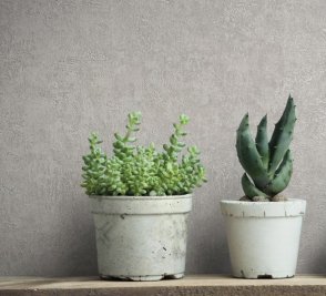 Обои Balance 34568 изображение 2