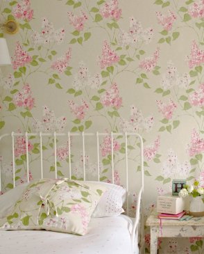 Обои Sanderson Maycott Wallpaper Maycott Wallpaper DMAY211983 изображение 2