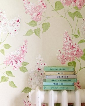 Обои Sanderson Maycott Wallpaper Maycott Wallpaper DMAY211984 изображение 1