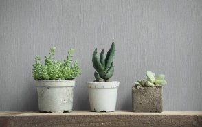 Обои Marburg Nuance 35303 изображение 2