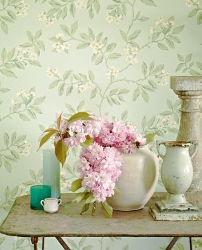 Обои Sanderson Maycott Wallpaper Maycott Wallpaper DMAY211992 изображение 1